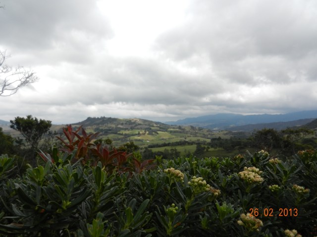 Sur le sentier de la lagune. La nature à l'état pur et toujours ces montagnes en arrière-plan.