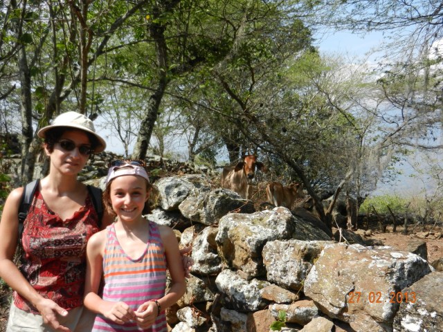 Le trek avec des vaches qui nous observent placidement tout au long du camino.