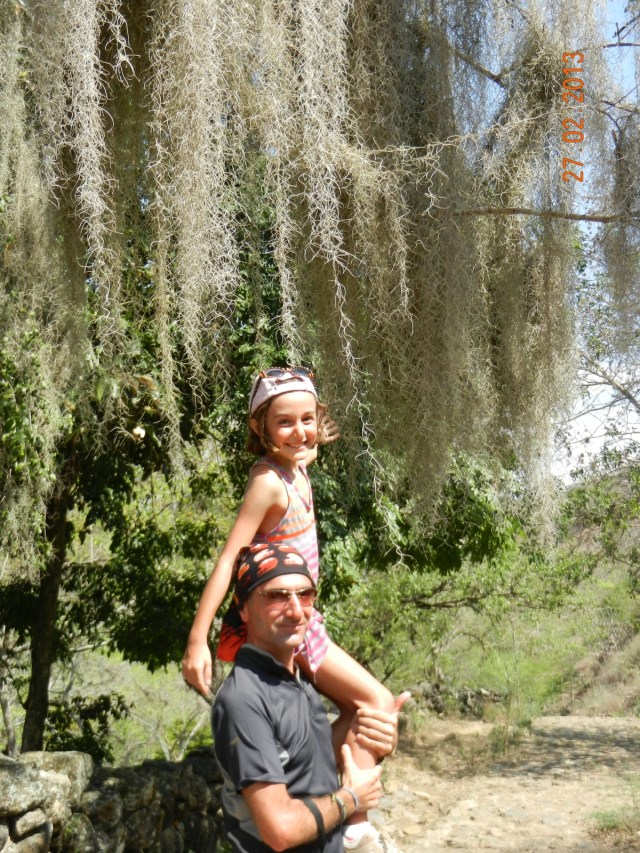 Le trek. Oncle Sami fait toucher à Yasmina les espèces de plantes qui parasitent les arbres du lieu.