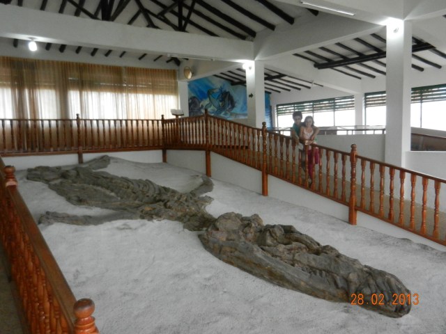 Le squelette du "aquamachinsaurus" le plus complet au monde. (J'ai oublié le nom réel !!!)