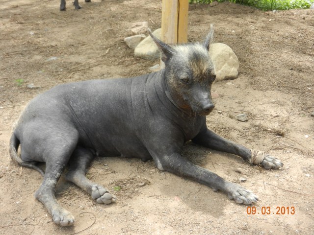 Une jolie femelle...