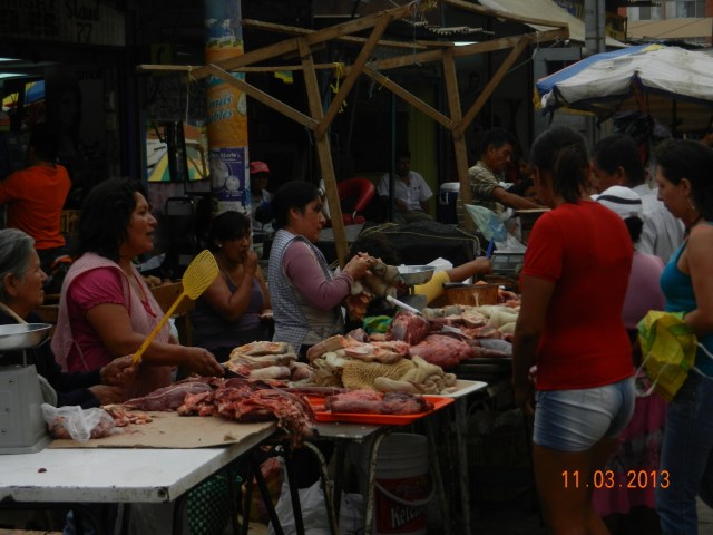 Observez les "tapettes à mouches" !