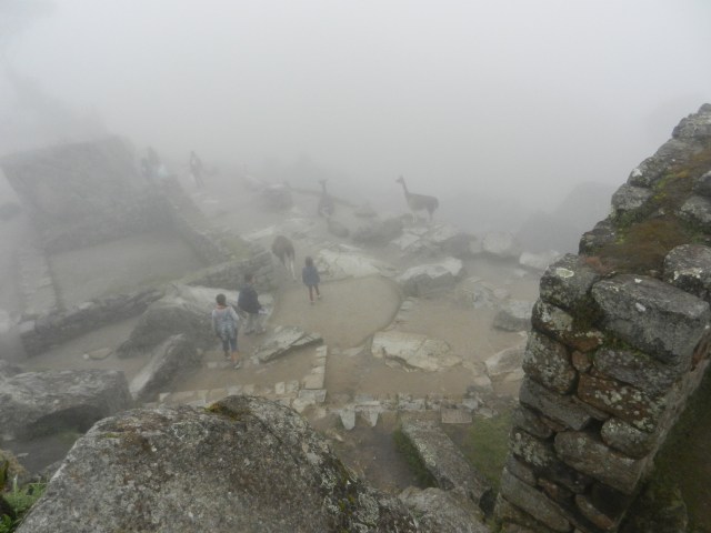 Le brouillard matinal a permis la prise de photos teintées de mystère.