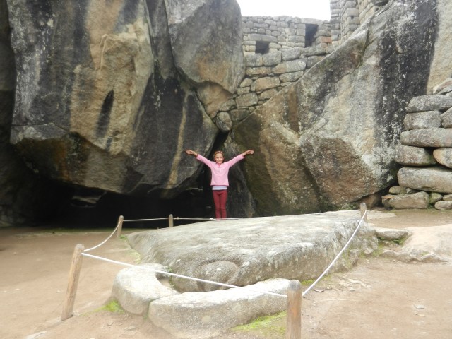 Regardez bien la photo, au premier plan, une tête de condor et derrière, les ailes.
