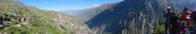 Le Canyon de Colca dans toute sa splendeur.