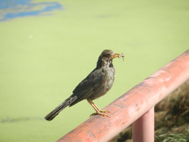 Une photo pour les couleurs !