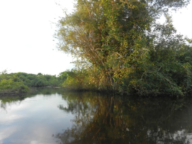 Prochaines photos : des payasages amazoniens.