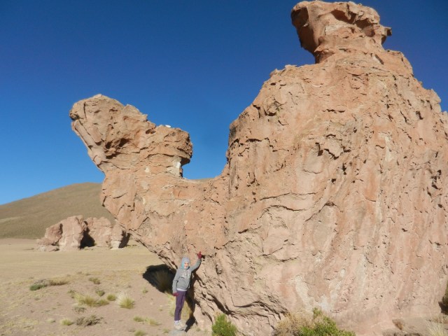 Le rocher du dromadaire. Assez clair non ?